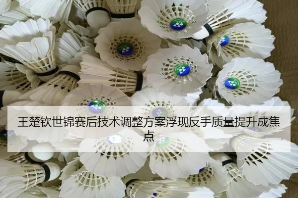 王楚钦世锦赛后技术调整方案浮现反手质量提升成焦点