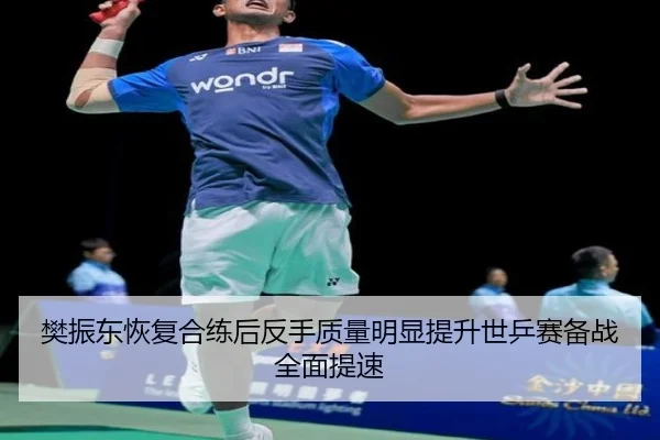 樊振东恢复合练后反手质量明显提升世乒赛备战全面提速